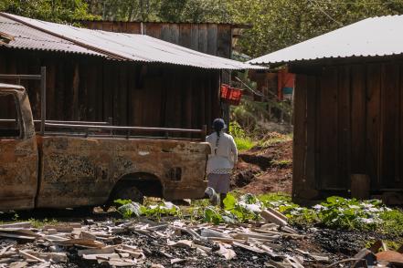 Violencia desplaza a más de 380 mil personas de sus hogares Oaxaca y 3