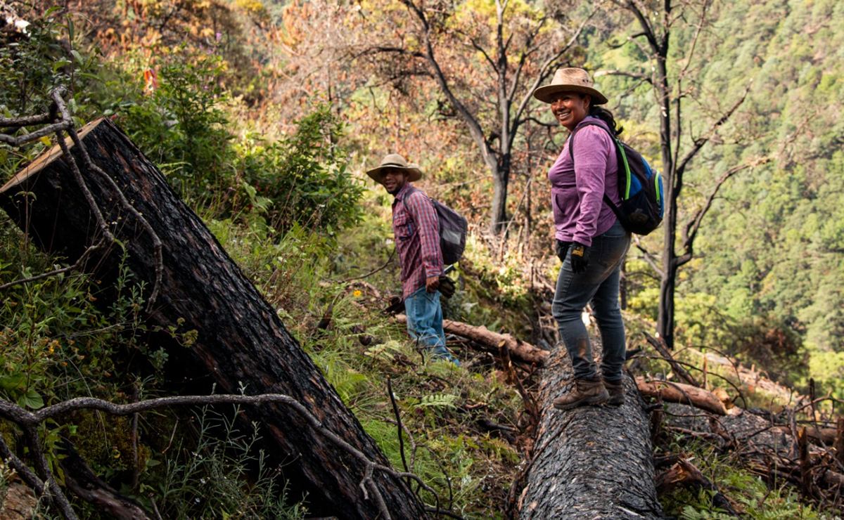 “¿Si no es ahora, cuándo?”, exigen mujeres con cargos en municipios indígenas de Oaxaca, pioneras de la paridad