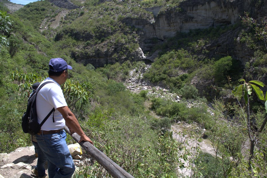 Un ecosistema con gran biodiversidad alberga las cuevas prehistóricas.