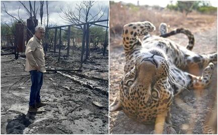 Previo a incendio, ignoraron peticiones de seguridad, denuncia director del “santuario del jaguar” en Oaxaca