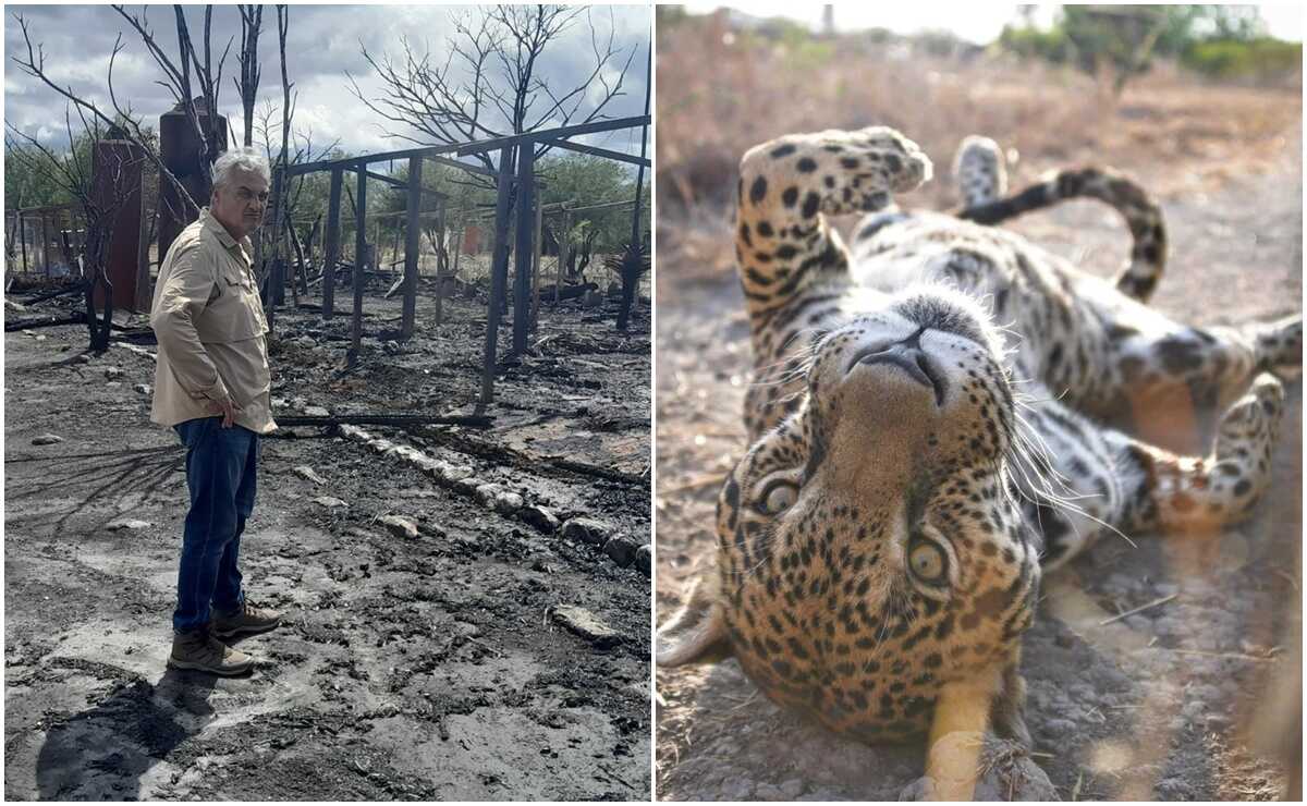 Previo a incendio, ignoraron peticiones de seguridad, denuncia director del “santuario del jaguar” en Oaxaca