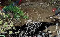 Se registra nuevo derrame combustóleo en colonias de Salina Cruz, Oaxaca
