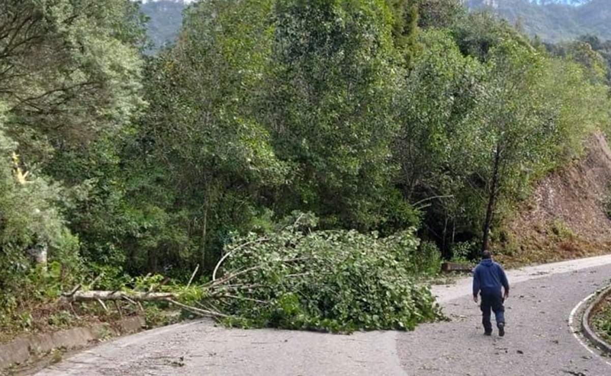 Reportan daños menores en algunas localidades de Oaxaca por frente frío número 13