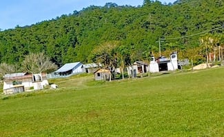 Piden intervención del gobierno federal ante incursión y amenazas de personas de Cintalapa, Chiapas, a los Chimalapas