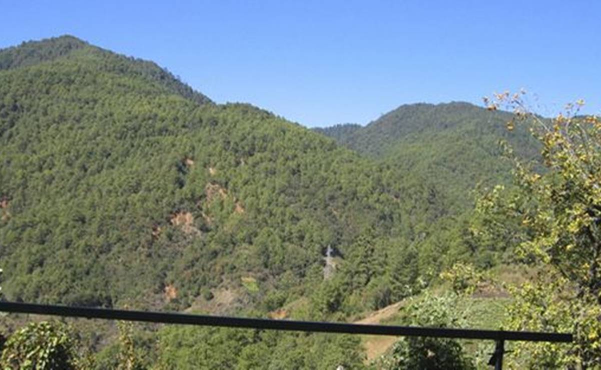 Foto: Foro Oaxaqueño del Agua