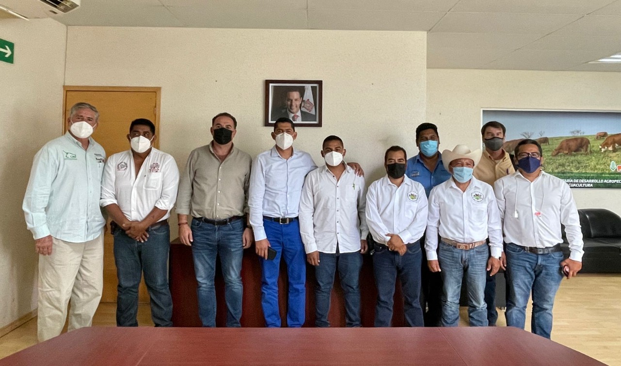 Será Oaxaca primer estado en usar Alerta Bovino, una app para combatir el robo de ganado