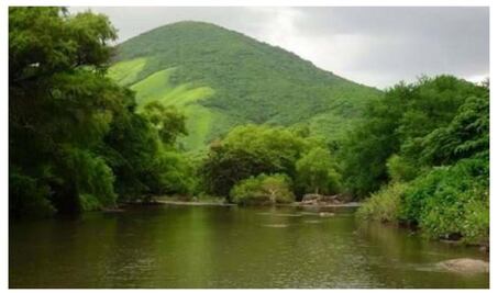 Por robos y contaminación, comunidades de los Chimalapas prohíben pesca