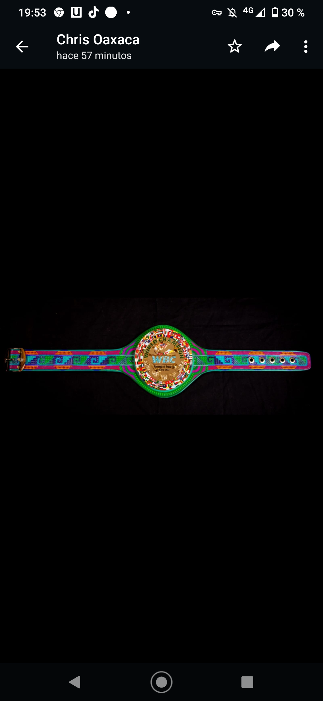 Elaboró taller de Jacobo y María Ángeles, dedicado a los alebrijes, cinturón que disputará el Canelo Álvarez el 7 de mayo