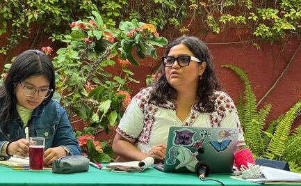 Violencia y precariedad económica, entre los principales problemas que enfrentan los jóvenes en Oaxaca, según un diagnóstico