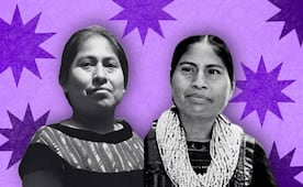 Seis personas defensoras del medio ambiente fueron asesinadas en Oaxaca en los últimos 3 años: informe