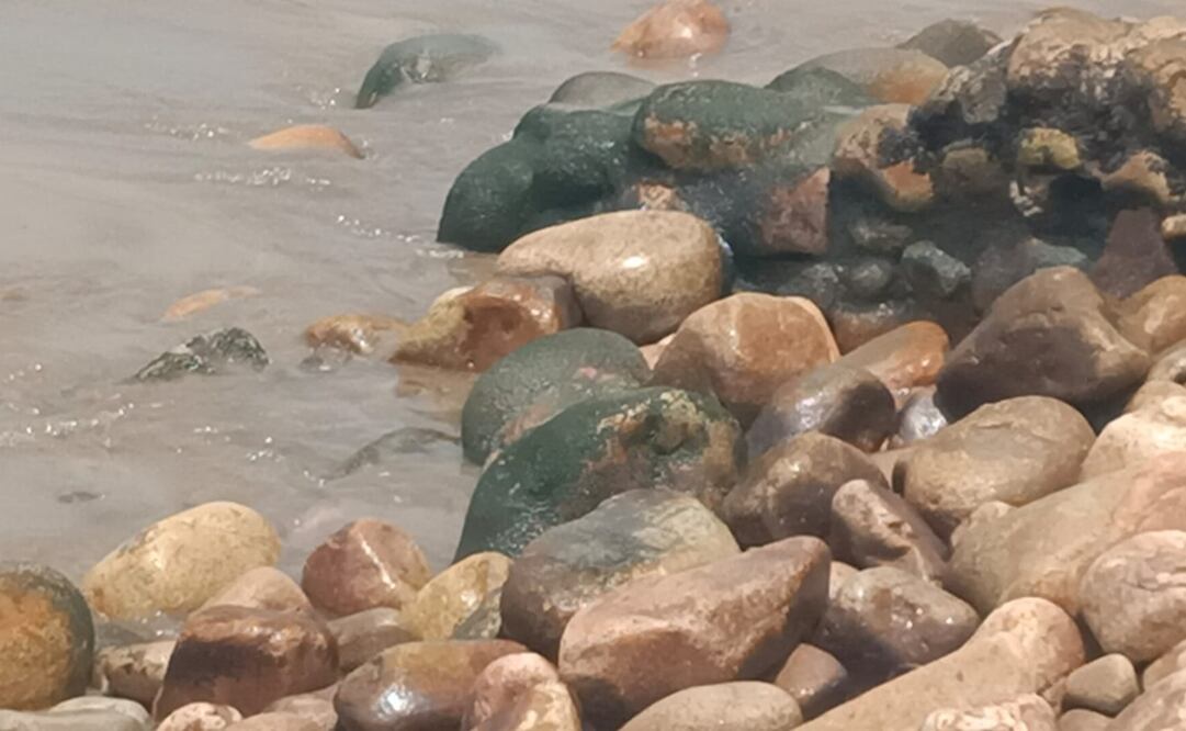 El derrame de Pemex en La Ventosa, Oaxaca, afecta al ecosistema y a pescadores. Foto: Especial
