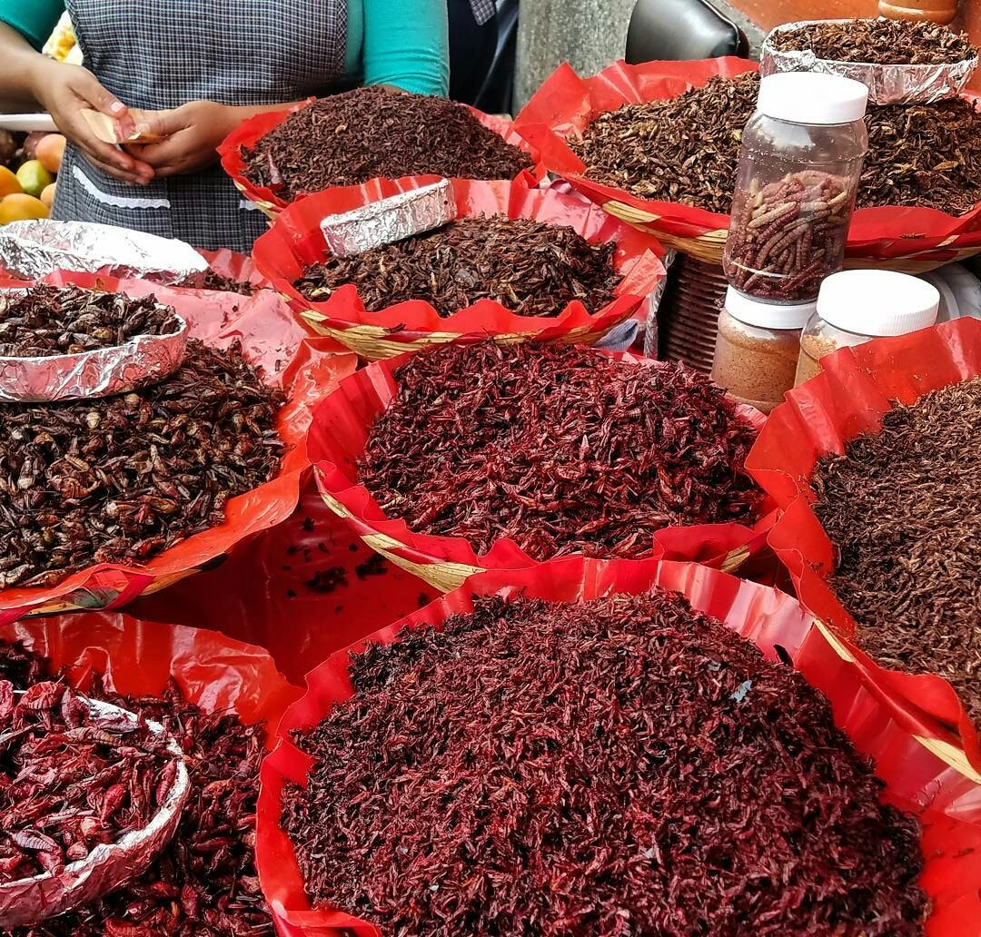 Foto: Facebook Oaxaca de mis Amores.