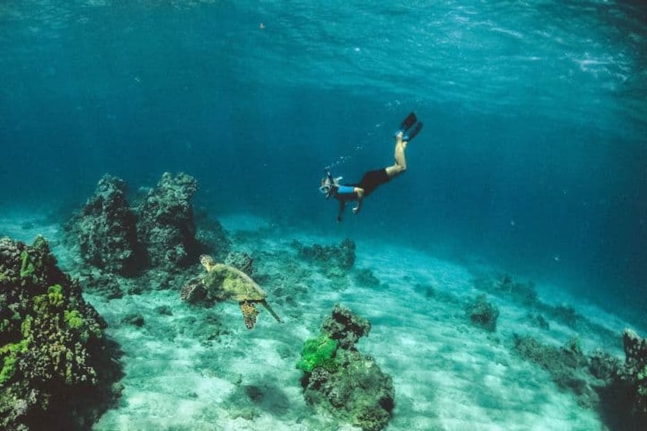 Playa Carrizalillo es ideal para practicar Snorkel. Foto: elsouvenir.com- subtle cinematics