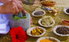 Conoce estos tres remedios oaxaqueños contra la diabetes, avalados por la UNAM