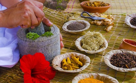 Conoce estos tres remedios oaxaqueños contra la diabetes, avalados por la UNAM