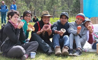 ¿Cuándo será la Feria de los Hongos en Cuajimoloyas, Oaxaca?