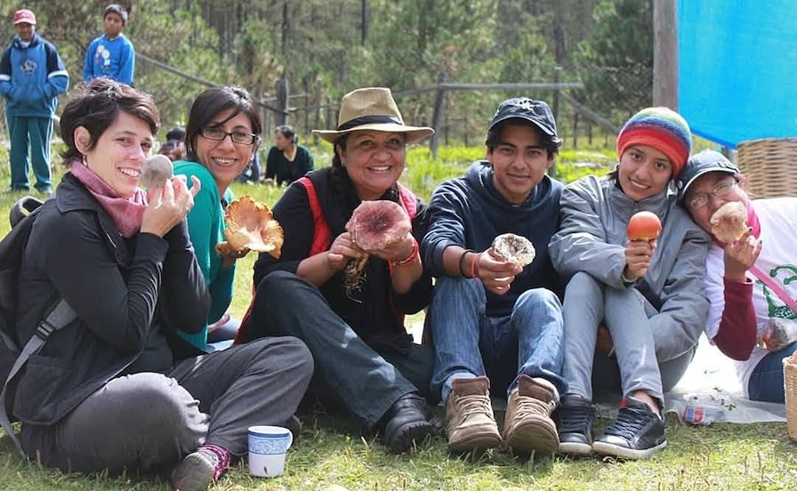 ¿Cuándo será la Feria de los Hongos en Cuajimoloyas, Oaxaca?