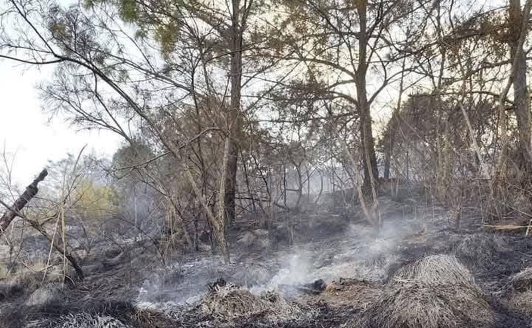 Fallece un hombre en incendio forestal, en la Mixteca; suman 10 incendios en Oaxaca. Foto: Especial