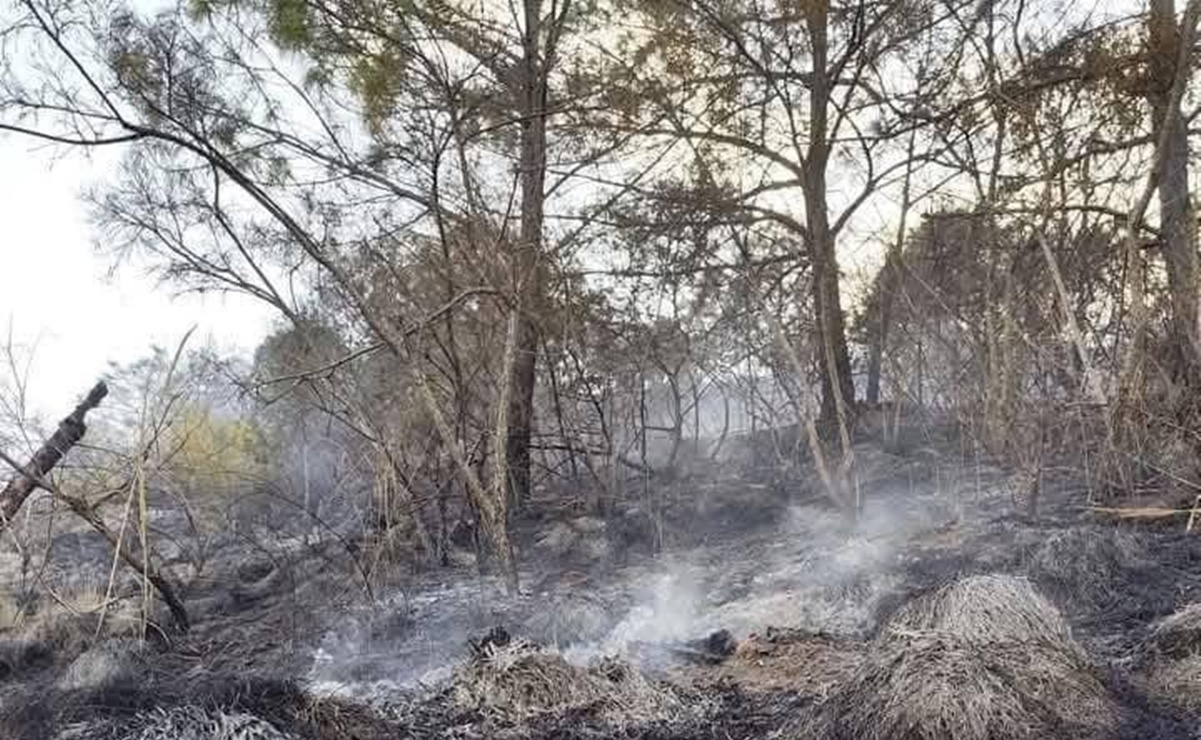 Fallece un hombre en incendio forestal, en la Mixteca; suman 10 incendios en Oaxaca