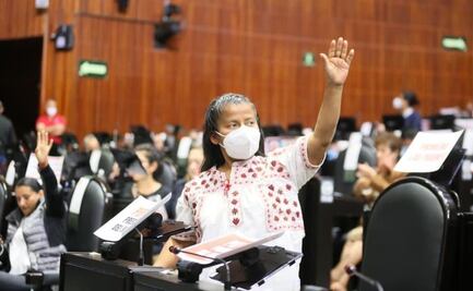 Irma Juan Carlos podría ser la primera candidata indígena a la gubernatura de Oaxaca