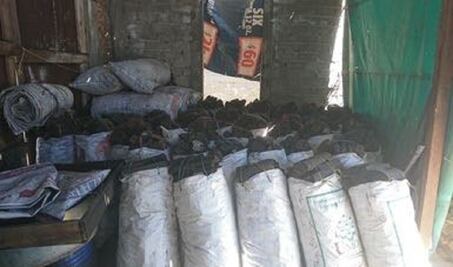 Decomisa Profepa carbón vegetal y leña de encino