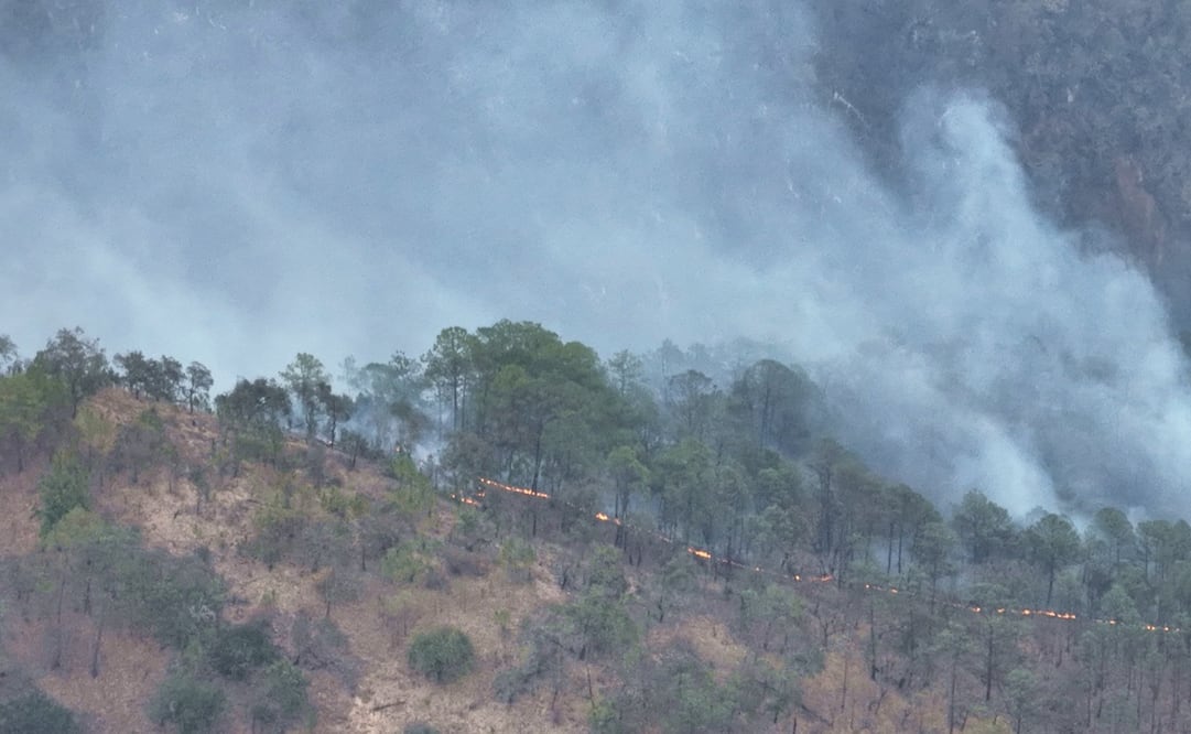 El incendio forestal se registra en una zona de conflicto en los límites de Mixtepec. Fotos: Especiales