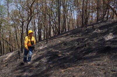 Van 48 incendios forestales en Oaxaca en lo que va de 2020