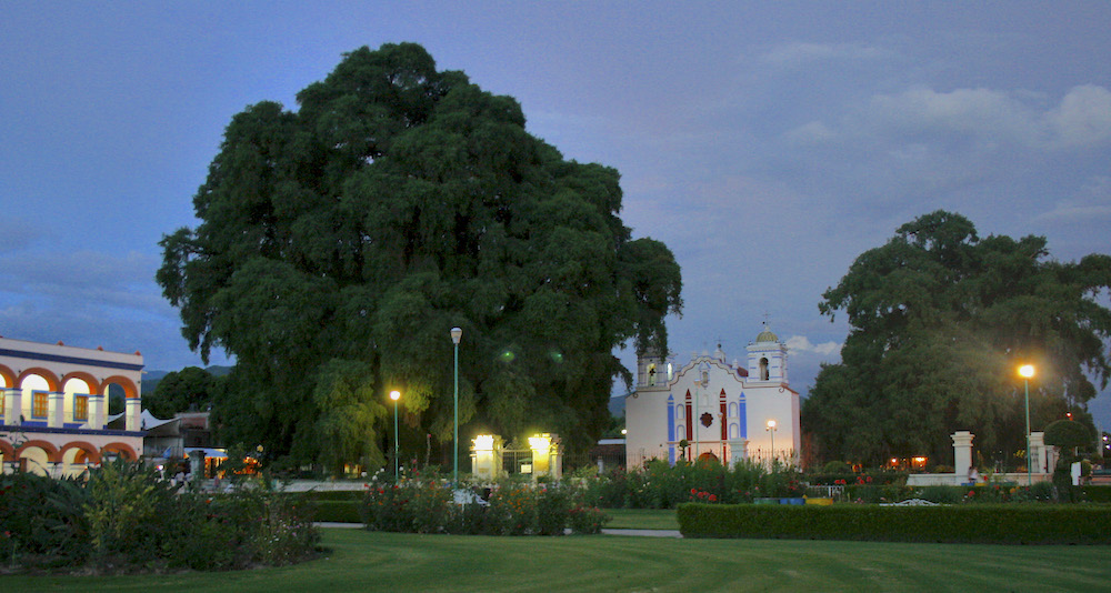Foto: Gobierno de México