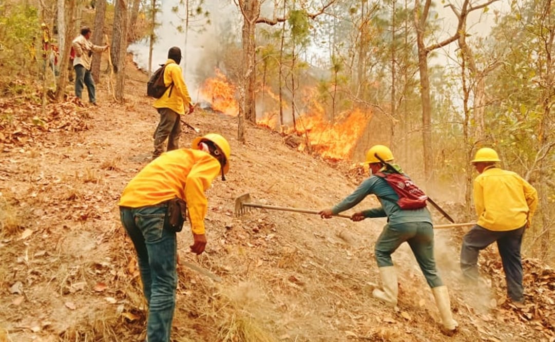 Por fuego incontrolable, se retiran 200 combatientes que sofocaban incendio en Los Chimalapas, Oaxaca. Foto: Especial