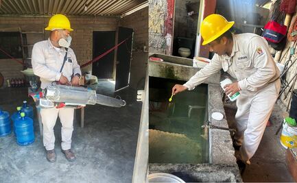 Confirman una muerte más por dengue en Oaxaca; menores de 10 a 14 años, los más afectados