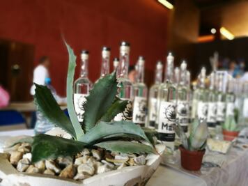 Exigen oponerse a inclusión del Edomex en denominación de origen mezcal