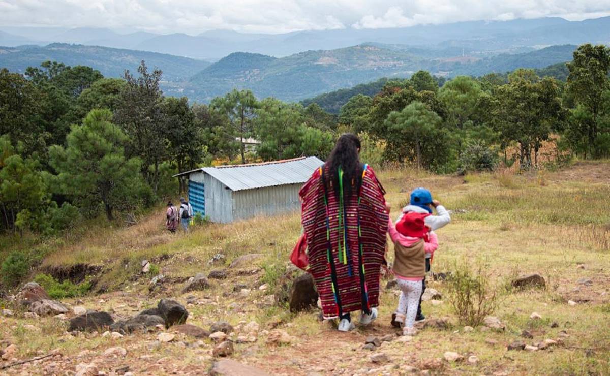 Gobierno de Oaxaca, sin recursos para cumplir sentencia que ordena entregar 30 mdp a Xochixtlán