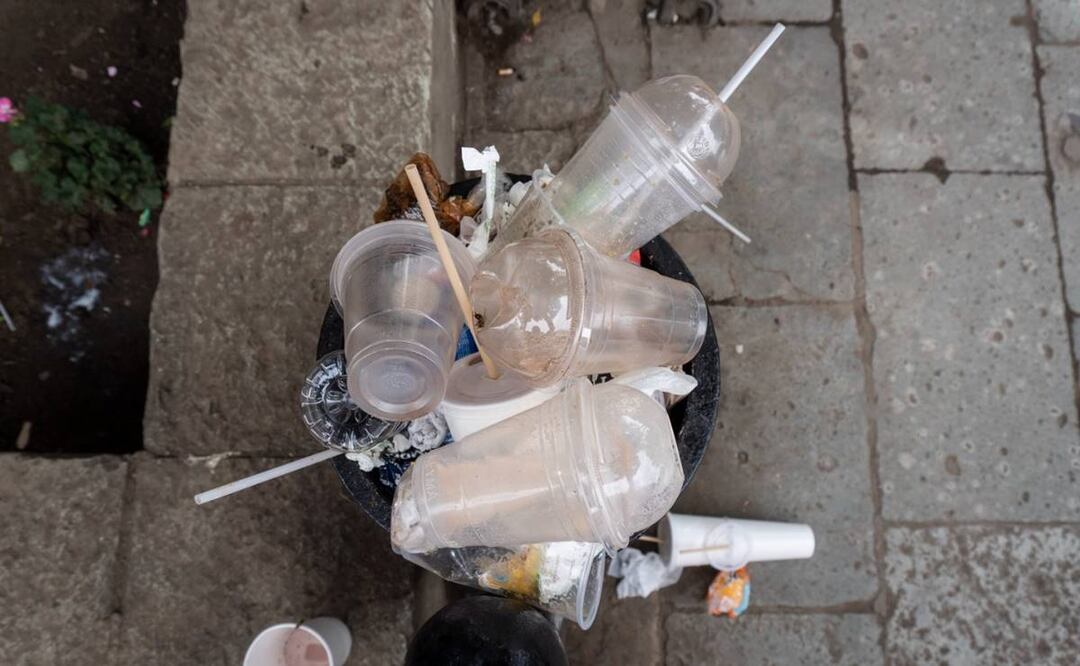 Foto: Mario Arturo Martínez