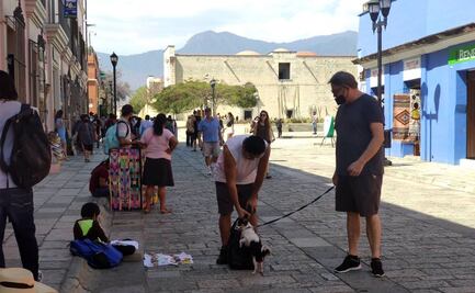 Reportan dos casos nuevos y cinco muertes por Covid-19 en Oaxaca; hay 93 contagios activos