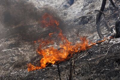 Incendios dejan sin energía eléctrica y sin agua potable a localidades del Istmo