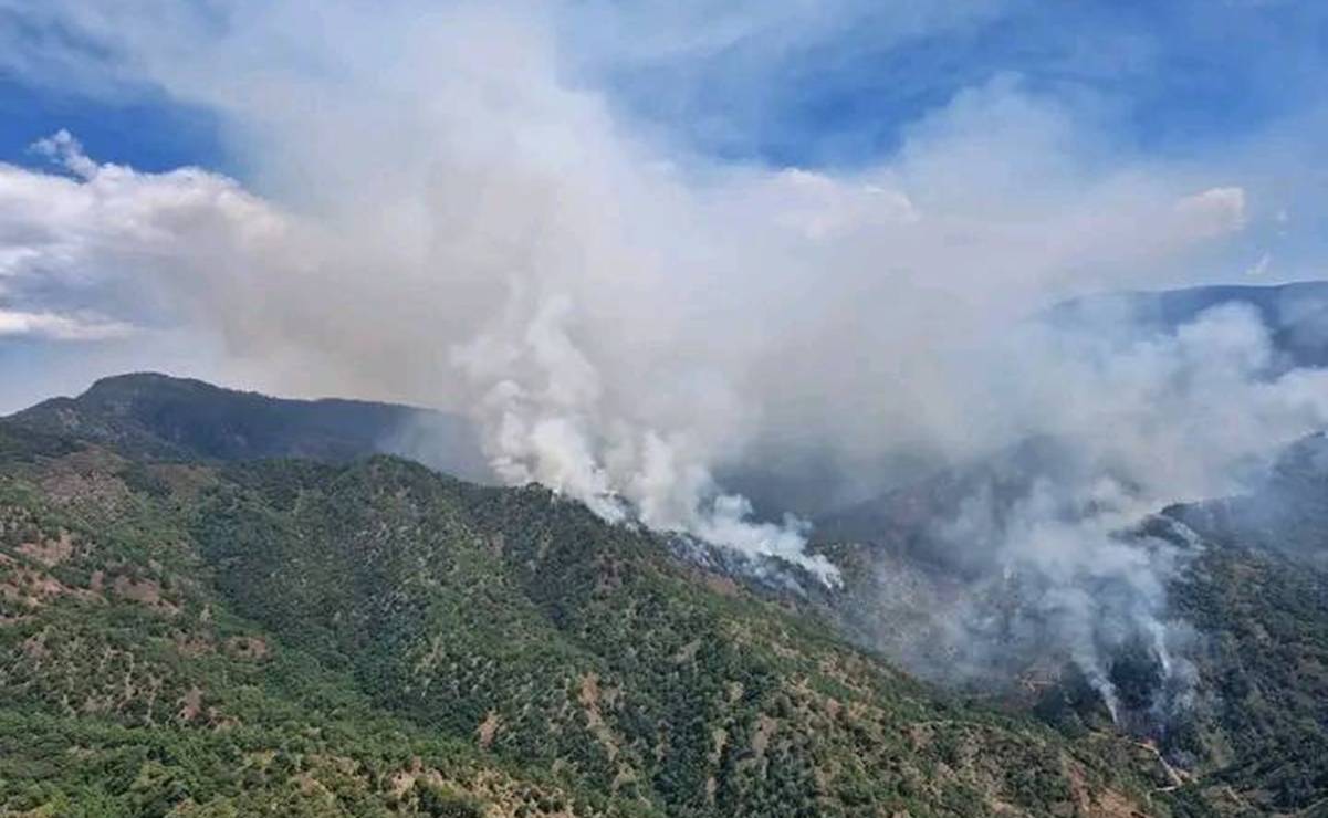 Reportan incendio forestal en los bosques de Santa María Zaniza, en zona de conflicto en Oaxaca