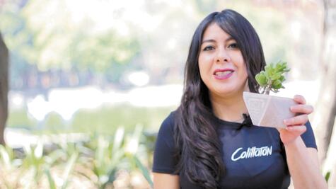 Reciclaje: juntan colillas de cigarro y las hacen macetas