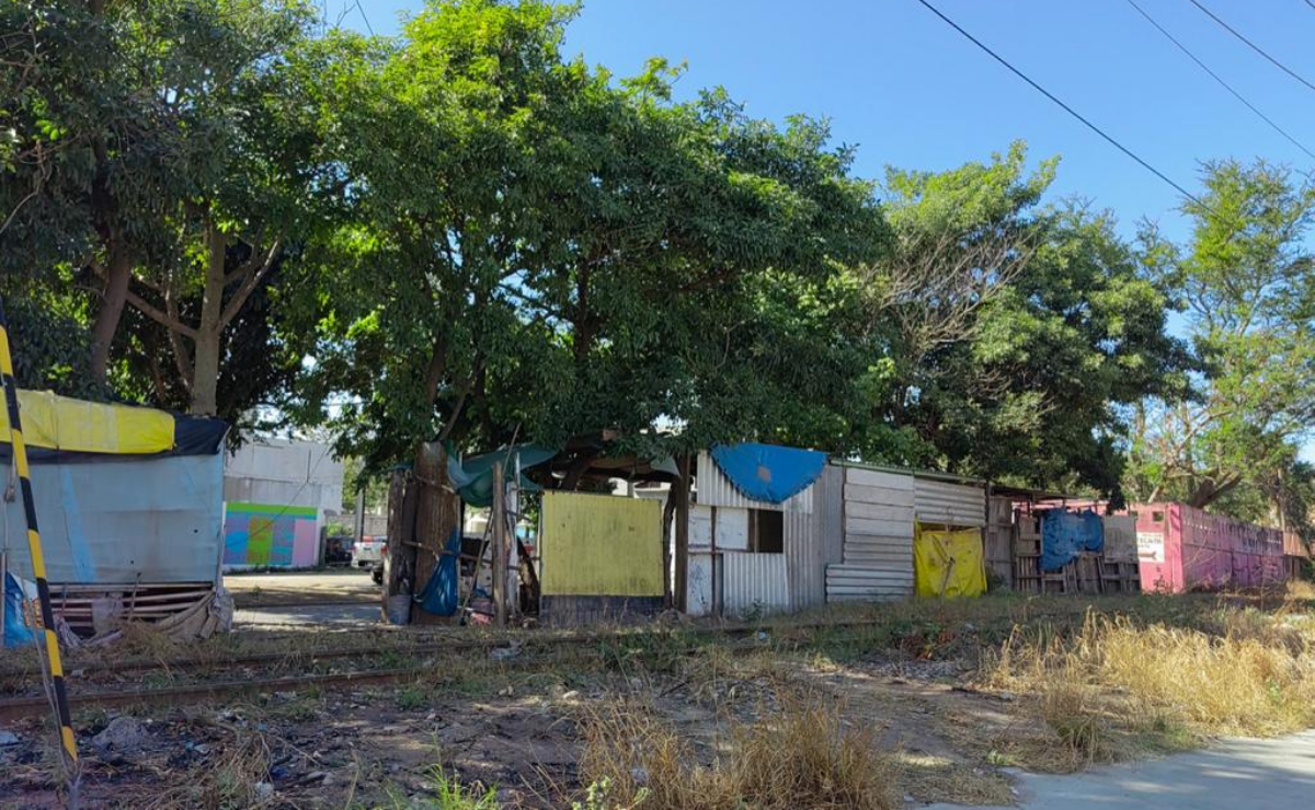 Tren Transístmico, la lucha en Oaxaca contra nueva oleada de invasiones en derecho de vía