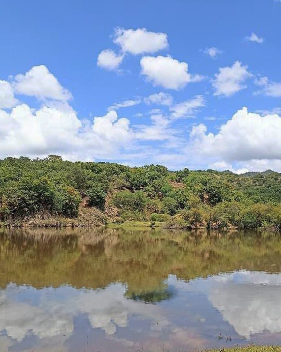 Foto: Oaxaca Travel.