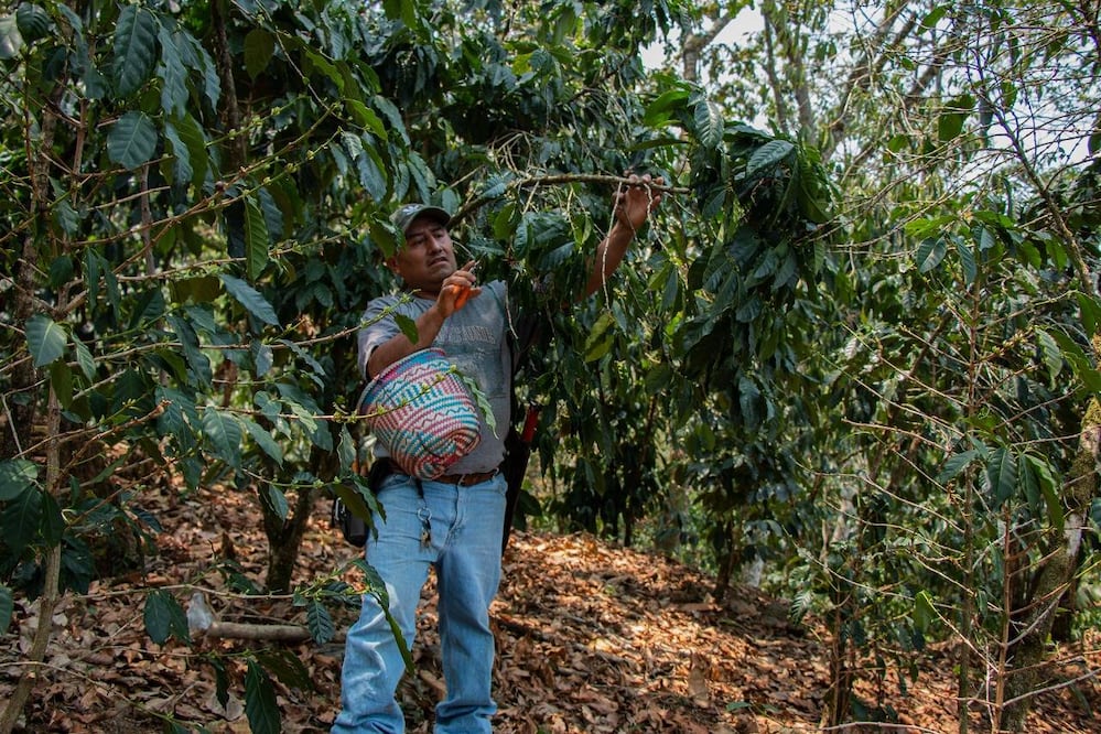 Fotos: Juana García