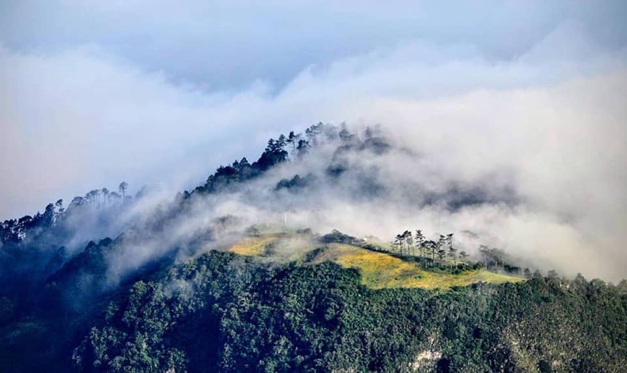 San José del Pacífico, cabañas entre nubes y hongos en Oaxaca