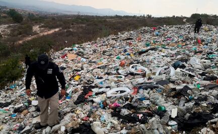 Se une gobierno federal a plan de búsqueda de Claudia Uruchurtu, activista desaparecida en Oaxaca