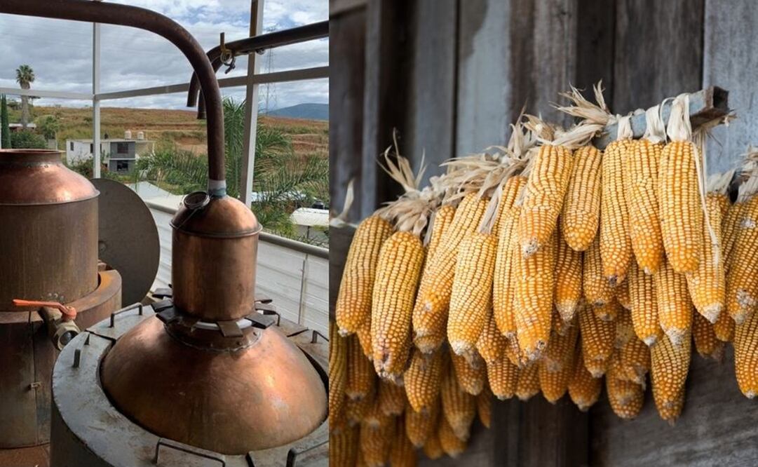 Fotos: Jonathan Barbieri