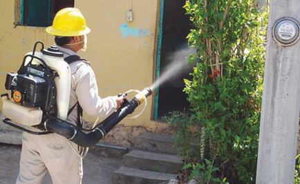 Además de coronavirus, Oaxaca reporta 26 casos de dengue