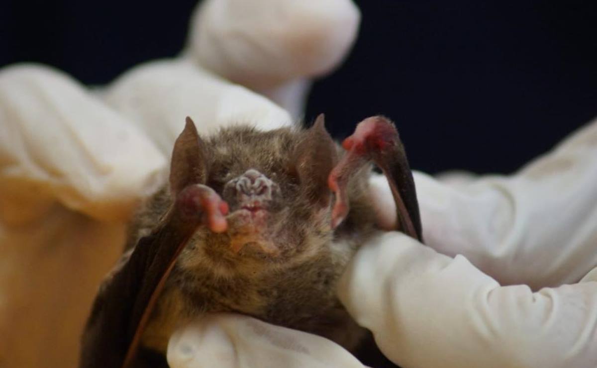 Foto: Edwin Hernández