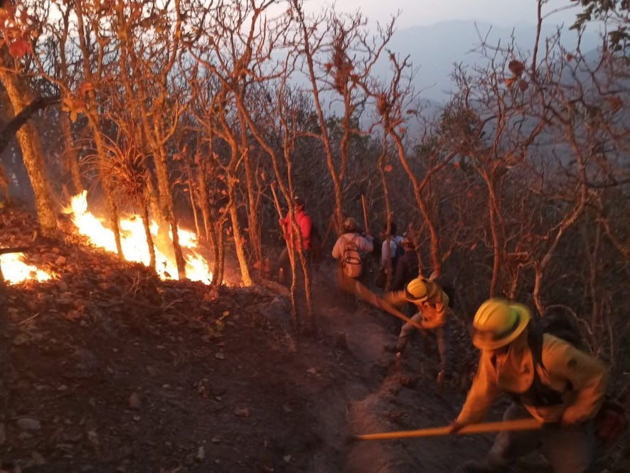 Con helicóptero, reanudan en Oaxaca combate contra incendios en 6 puntos de Los Chimalapas. Foto: Ilustrativa