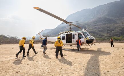 Bajo control, incendio en Lachiguiri y Guienagati, en el Istmo de Tehuantepec, Oaxaca
