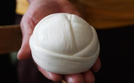 ¿Cómo detectar un quesillo (queso oaxaca) de mala calidad?