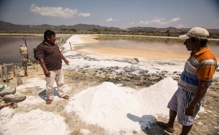 Coronavirus y cambio climático reducen 90% la producción de sal artesanal en Oaxaca