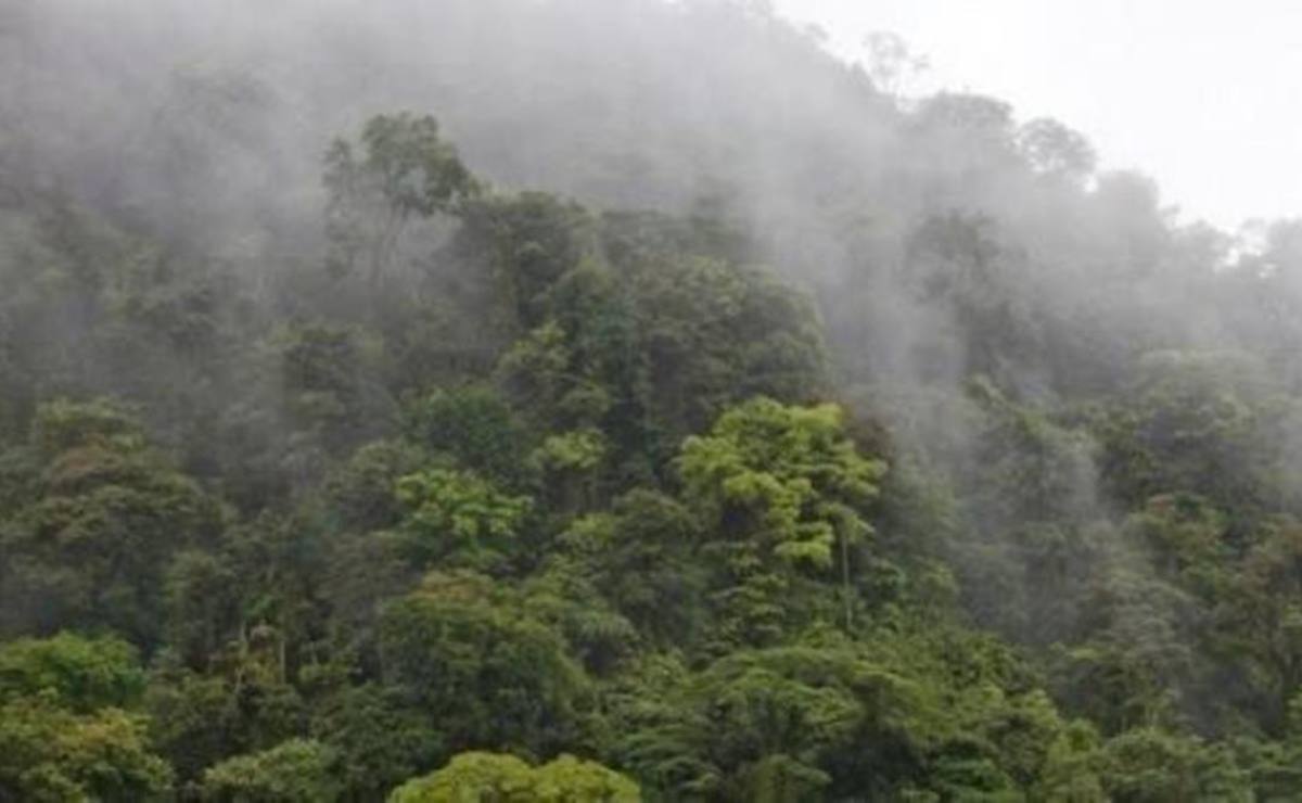 Grupo armado secuestra en Oaxaca a dos estudiantes, un profesor y un taxista